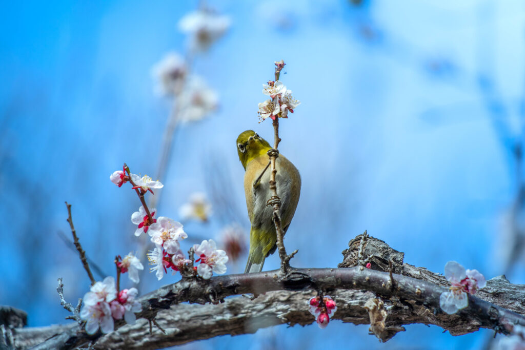 ビジネスホテル多満ち 近隣情報