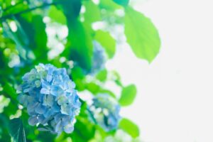 ビジネスホテル多満ち