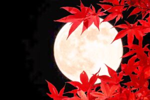 ビジネスホテル多満ち